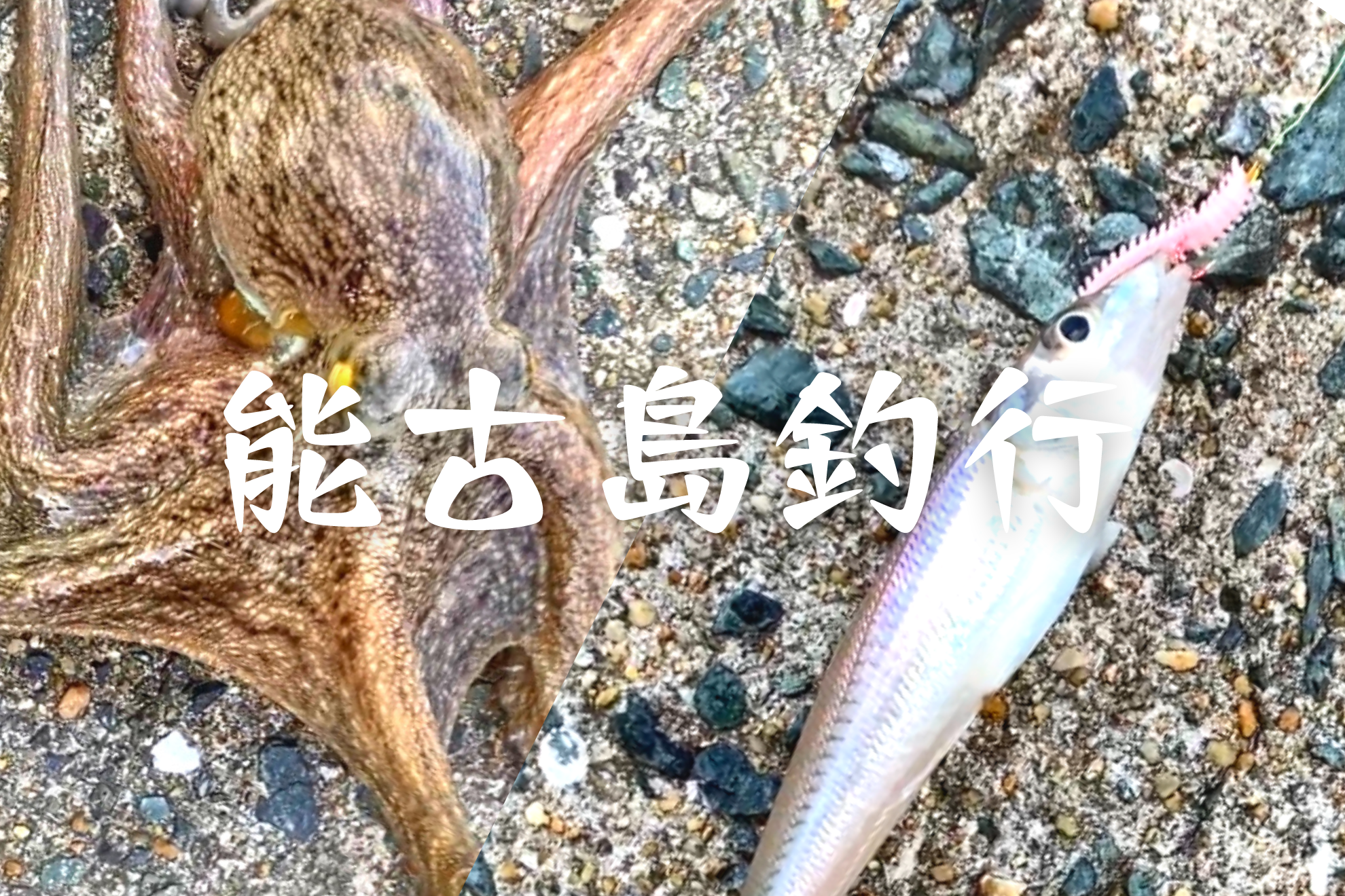 能古島でキス釣り 擬似餌のパワーイソメでキスとまさかのタコが釣れました ビビッと感じて
