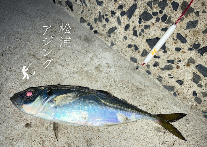 Mキャロでアジ釣り 長崎県松浦市で爆風アジングしてきました ビビッと感じて